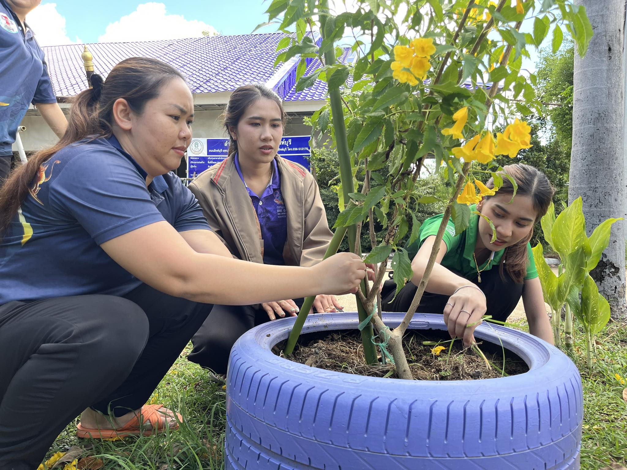 358485290 745032134090600 3087767486259418340 N