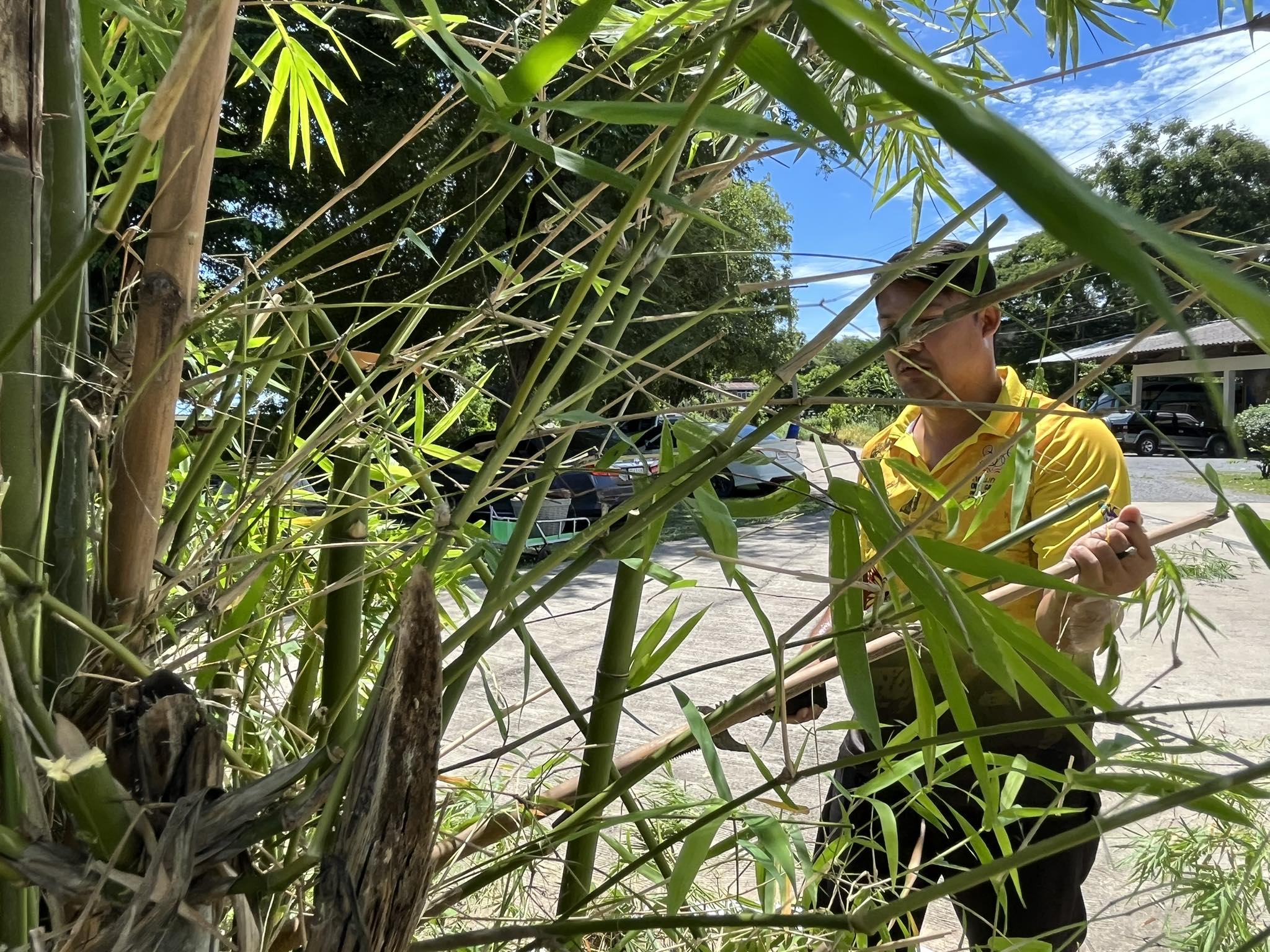 360088337 745032860757194 5045326255312866240 N