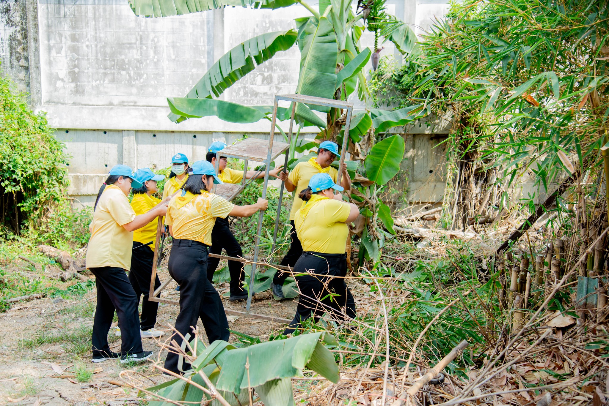 488512425 1139151741345302 540698029720486133 N