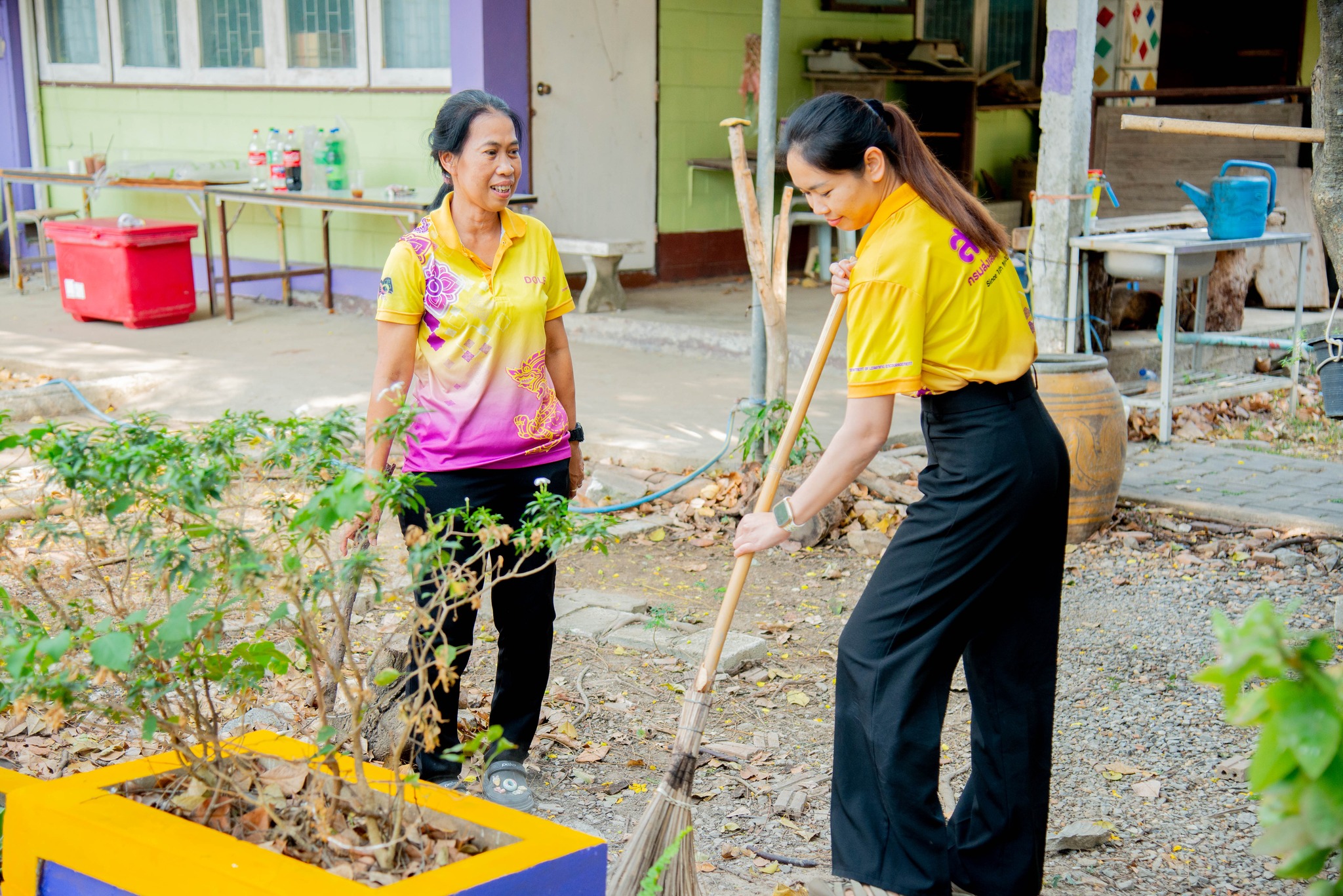 488654684 1139151544678655 8997898056515879694 N