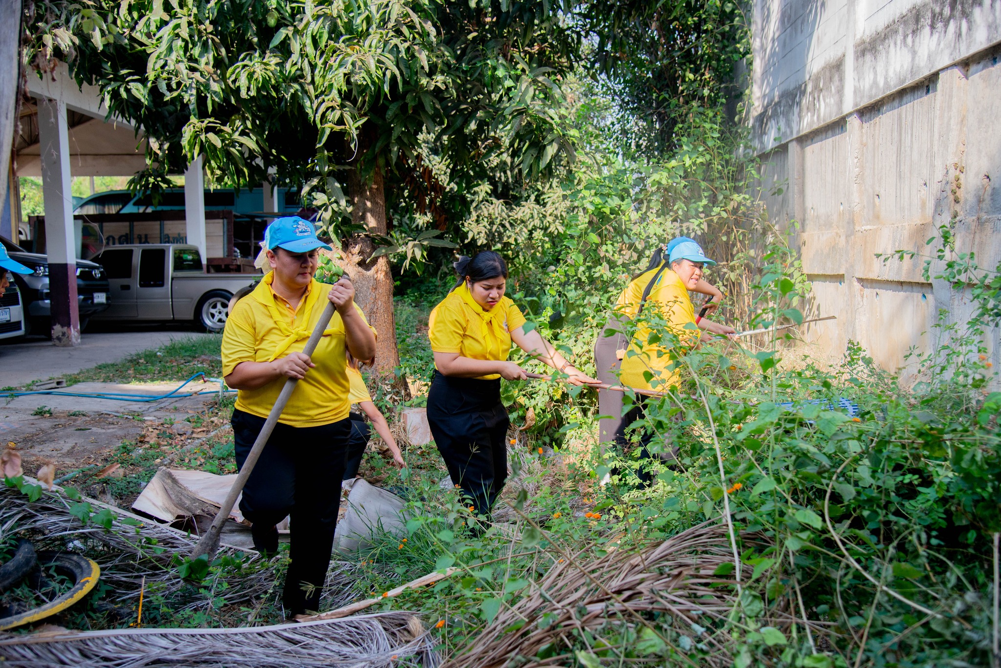 488678363 1139152518011891 5557891562932286239 N