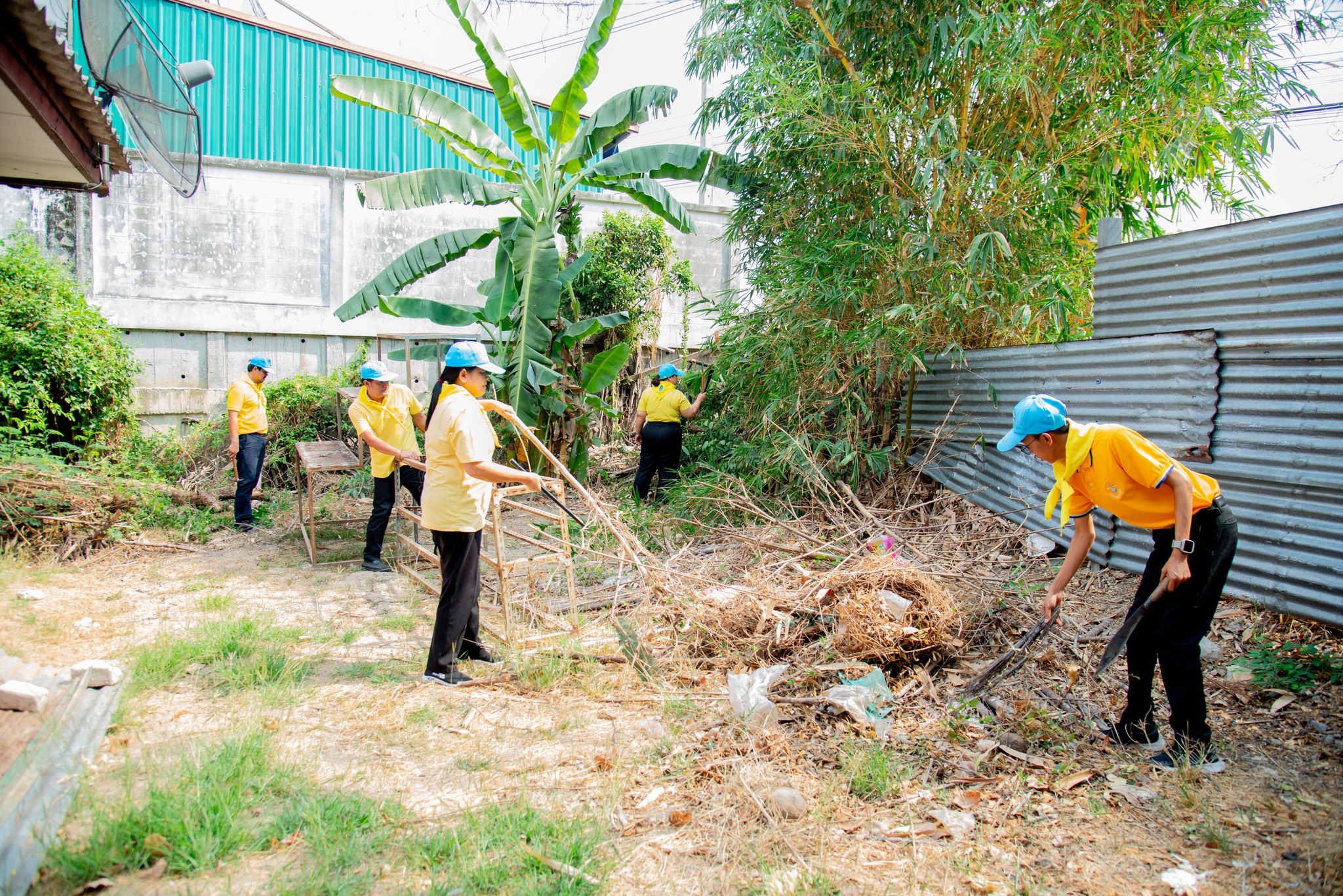 488963782 1139151794678630 7295262974552273530 N