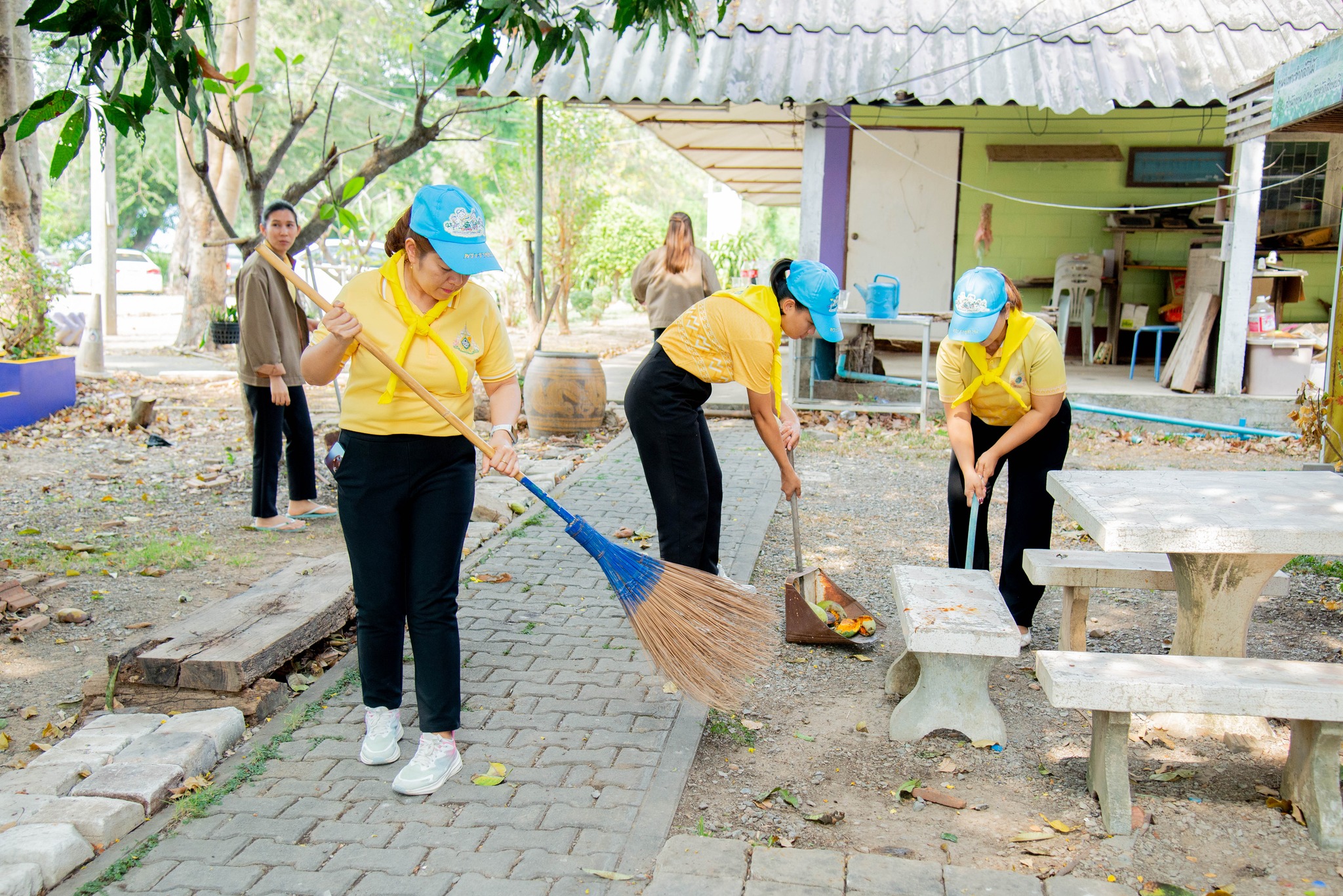 489026668 1139151568011986 4987203575874128736 N