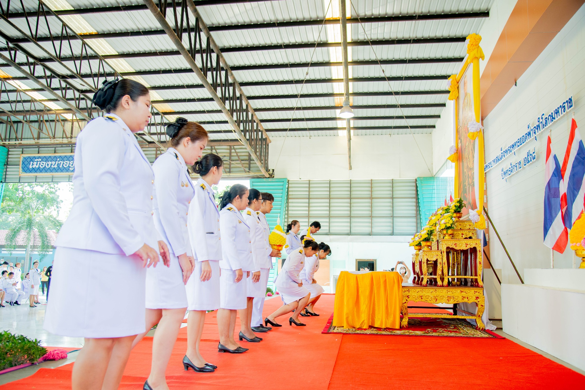 489884826 1140531577873985 1460094709229362400 N