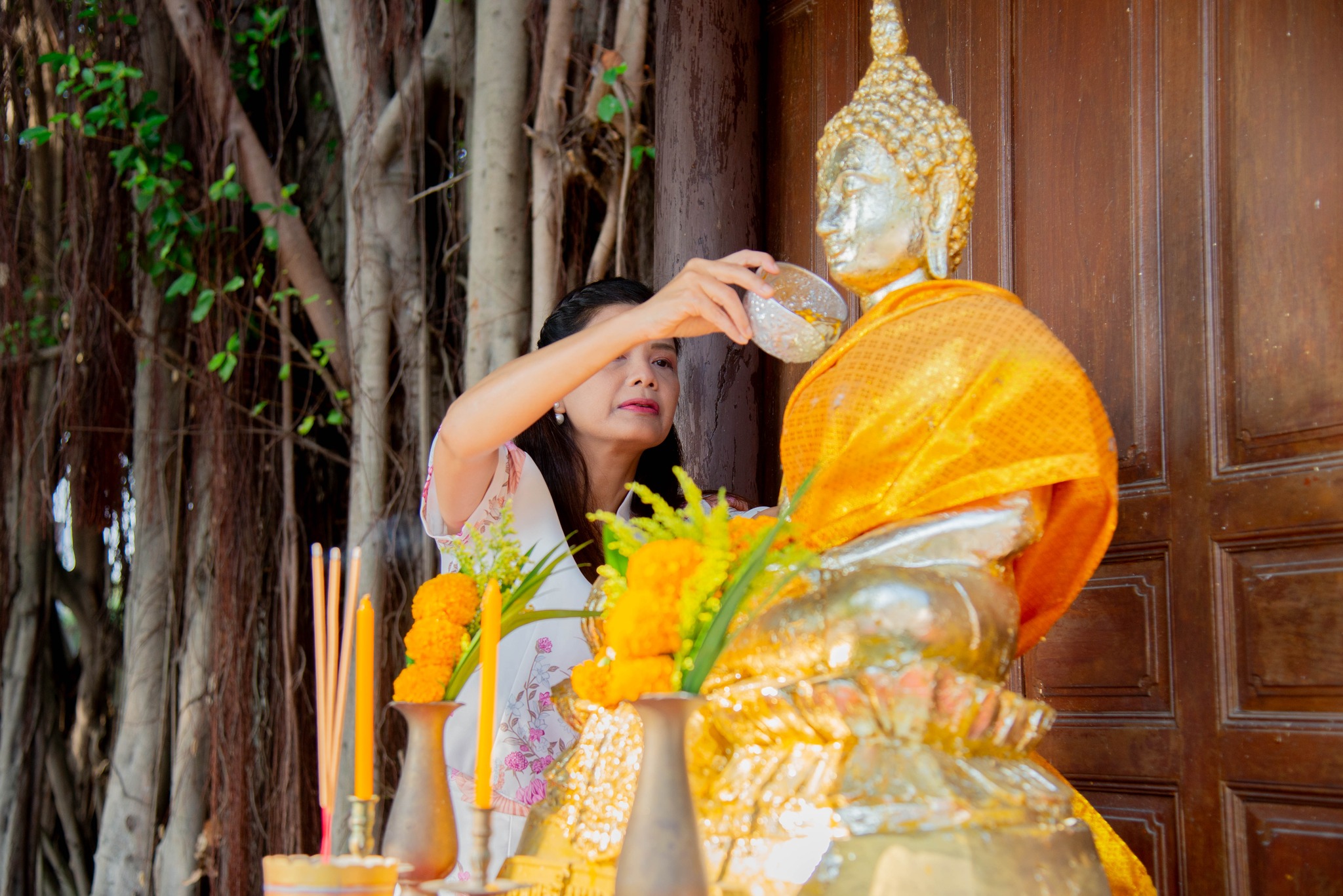 490019386 1144634467463696 1367479227805677226 N