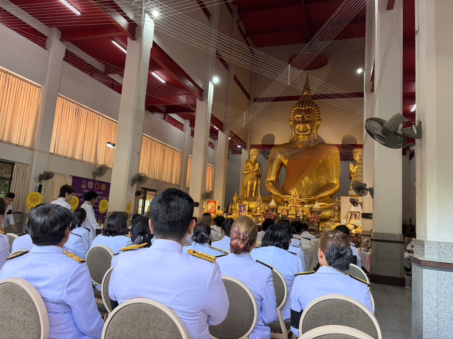 660918789 1426625039264636 4728322670544655825 n