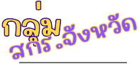 กลุ่มงาน 0